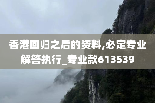 香港回归之后的资料,必定专业解答执行_专业款613539