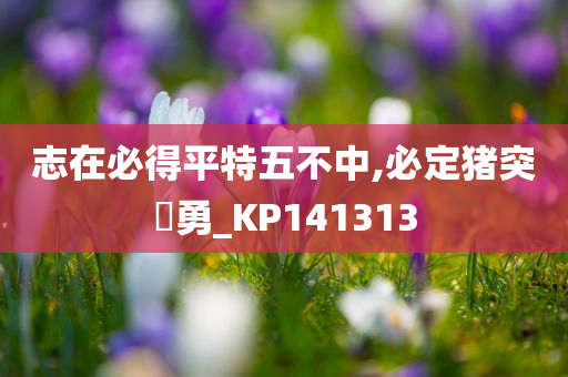 志在必得平特五不中,必定猪突豨勇_KP141313