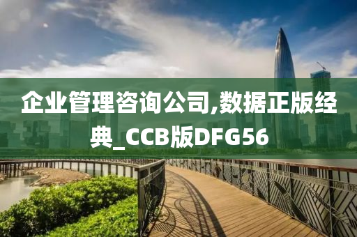 企业管理咨询公司,数据正版经典_CCB版DFG56