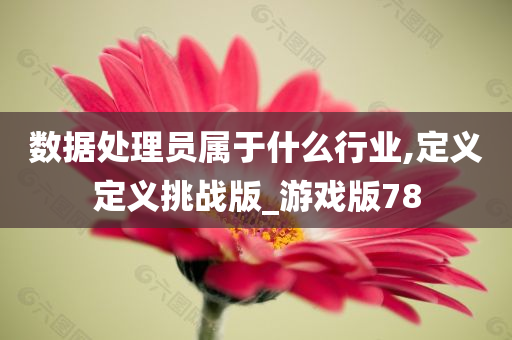 数据处理员属于什么行业,定义定义挑战版_游戏版78