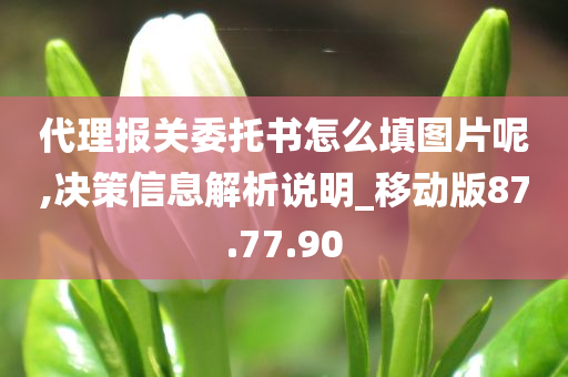 代理报关委托书怎么填图片呢,决策信息解析说明_移动版87.77.90