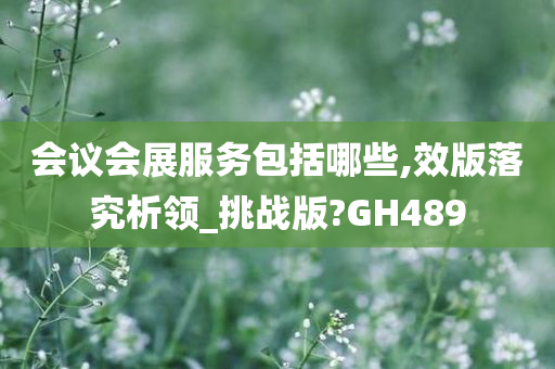 会议会展服务包括哪些,效版落究析领_挑战版?GH489