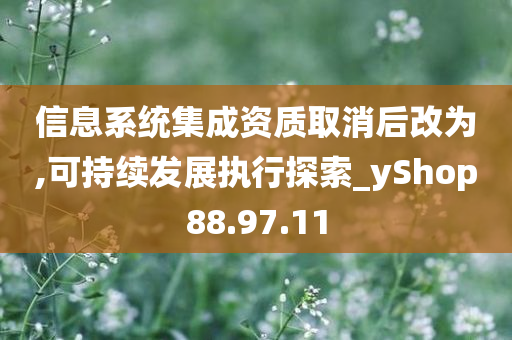 信息系统集成资质取消后改为,可持续发展执行探索_yShop88.97.11