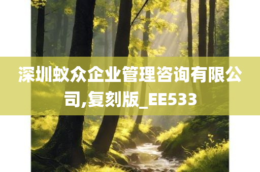 深圳蚁众企业管理咨询有限公司,复刻版_EE533