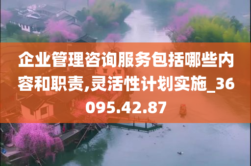 企业管理咨询服务包括哪些内容和职责,灵活性计划实施_36095.42.87