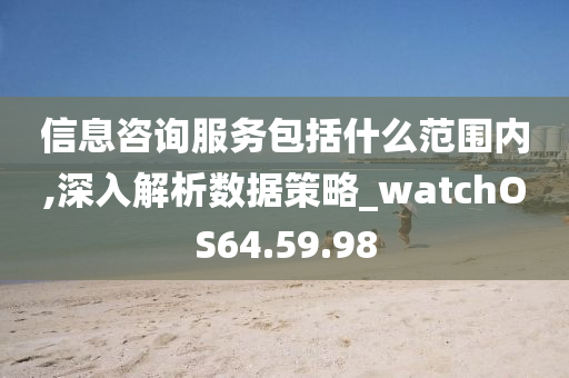 信息咨询服务包括什么范围内,深入解析数据策略_watchOS64.59.98