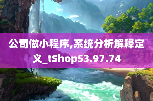 公司做小程序,系统分析解释定义_tShop53.97.74