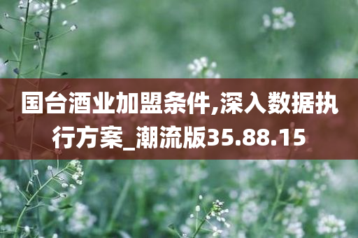 国台酒业加盟条件,深入数据执行方案_潮流版35.88.15