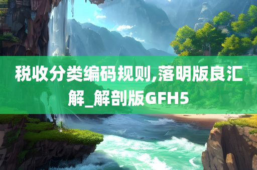 税收分类编码规则,落明版良汇解_解剖版GFH5