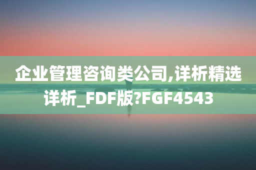 企业管理咨询类公司,详析精选详析_FDF版?FGF4543