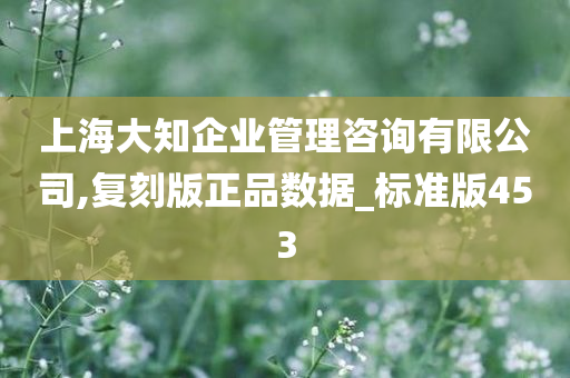 上海大知企业管理咨询有限公司,复刻版正品数据_标准版453