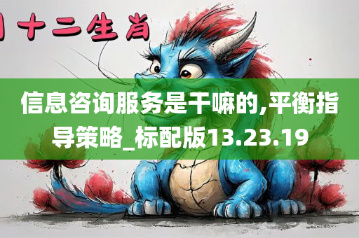 信息咨询服务是干嘛的,平衡指导策略_标配版13.23.19