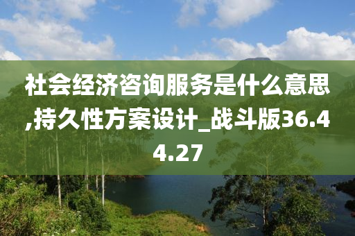 社会经济咨询服务是什么意思,持久性方案设计_战斗版36.44.27