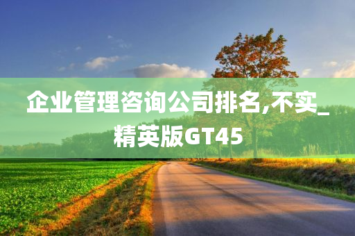 企业管理咨询公司排名,不实_精英版GT45