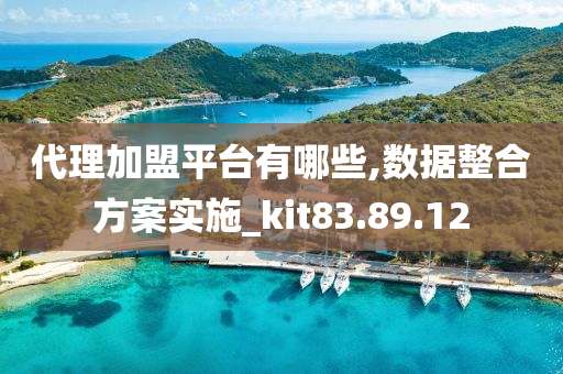 代理加盟平台有哪些,数据整合方案实施_kit83.89.12