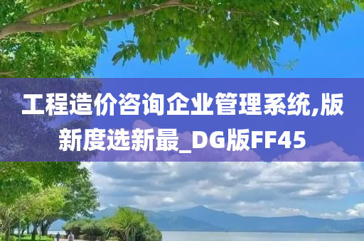 工程造价咨询企业管理系统,版新度选新最_DG版FF45