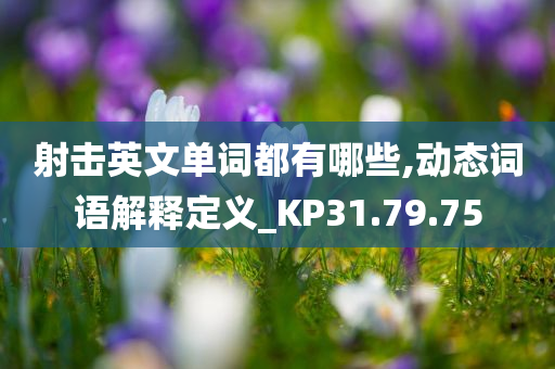 射击英文单词都有哪些,动态词语解释定义_KP31.79.75