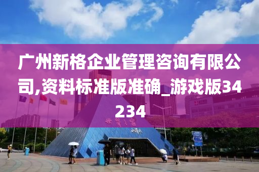 广州新格企业管理咨询有限公司,资料标准版准确_游戏版34234