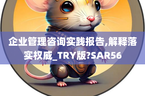 企业管理咨询实践报告,解释落实权威_TRY版?SAR56