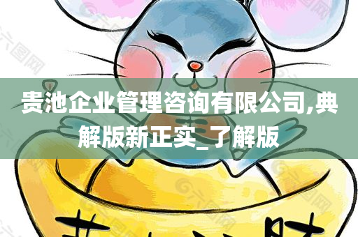 贵池企业管理咨询有限公司,典解版新正实_了解版