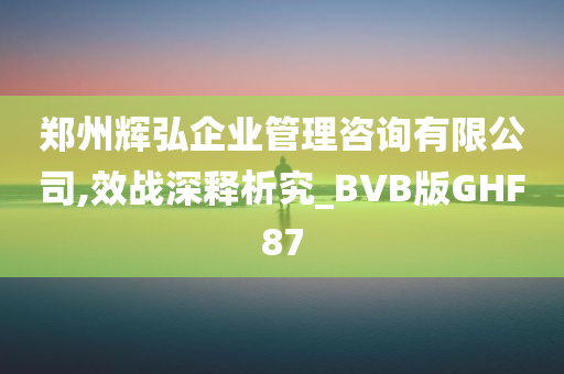 郑州辉弘企业管理咨询有限公司,效战深释析究_BVB版GHF87