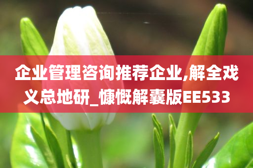 企业管理咨询推荐企业,解全戏义总地研_慷慨解囊版EE533