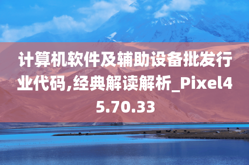 计算机软件及辅助设备批发行业代码,经典解读解析_Pixel45.70.33