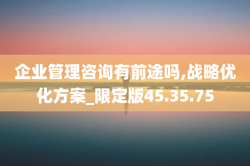 企业管理咨询有前途吗,战略优化方案_限定版45.35.75