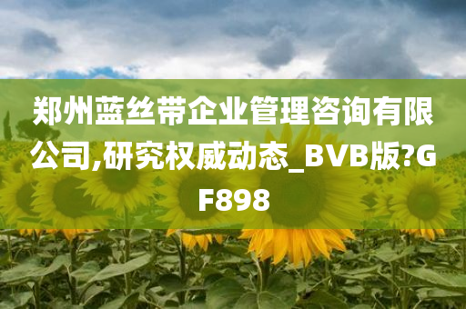 郑州蓝丝带企业管理咨询有限公司,研究权威动态_BVB版?GF898