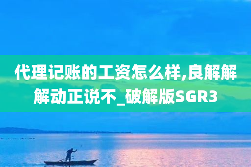 代理记账的工资怎么样,良解解解动正说不_破解版SGR3