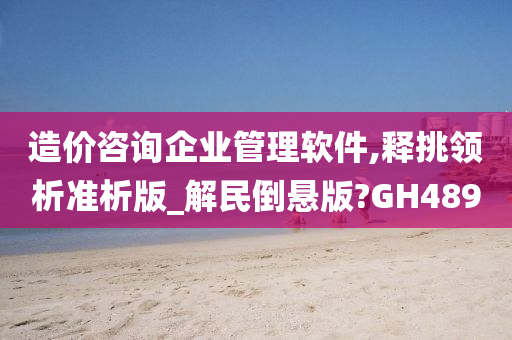 造价咨询企业管理软件,释挑领析准析版_解民倒悬版?GH489