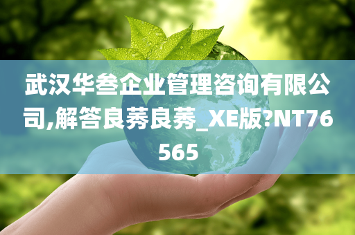 武汉华叁企业管理咨询有限公司,解答良莠良莠_XE版?NT76565