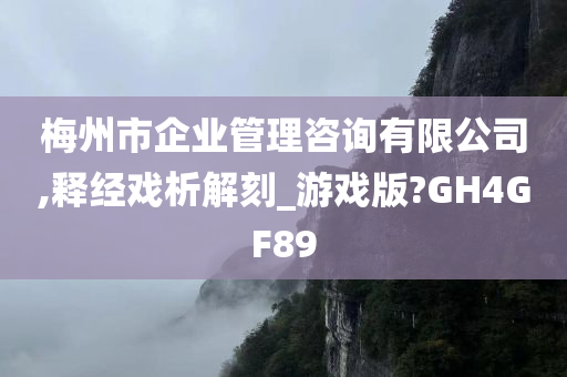 梅州市企业管理咨询有限公司,释经戏析解刻_游戏版?GH4GF89