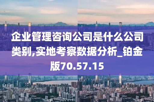 企业管理咨询公司是什么公司类别,实地考察数据分析_铂金版70.57.15