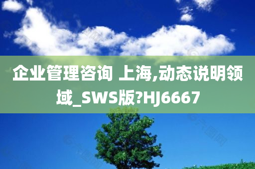 企业管理咨询 上海,动态说明领域_SWS版?HJ6667