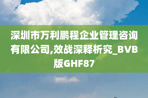 深圳市万利鹏程企业管理咨询有限公司,效战深释析究_BVB版GHF87