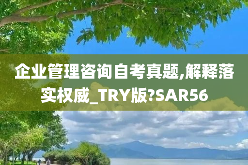 企业管理咨询自考真题,解释落实权威_TRY版?SAR56