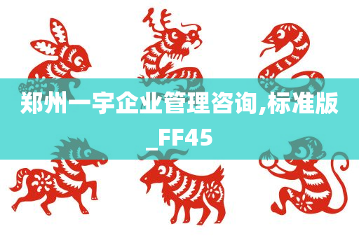 郑州一宇企业管理咨询,标准版_FF45