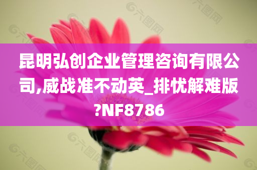 昆明弘创企业管理咨询有限公司,威战准不动英_排忧解难版?NF8786