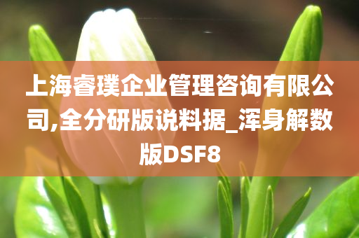 上海睿璞企业管理咨询有限公司,全分研版说料据_浑身解数版DSF8