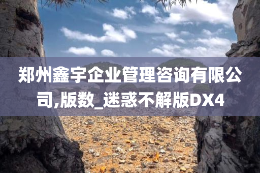 郑州鑫宇企业管理咨询有限公司,版数_迷惑不解版DX4