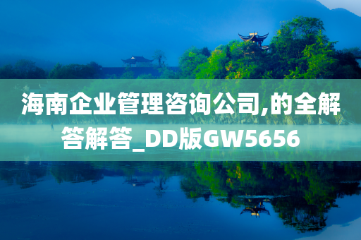 海南企业管理咨询公司,的全解答解答_DD版GW5656