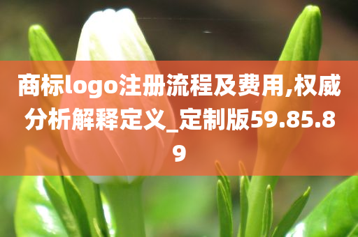 商标logo注册流程及费用,权威分析解释定义_定制版59.85.89