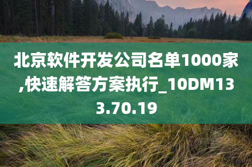 北京软件开发公司名单1000家,快速解答方案执行_10DM133.70.19