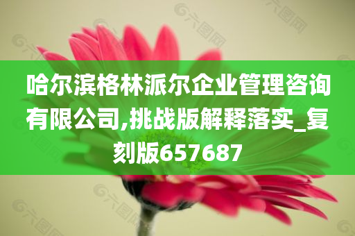 哈尔滨格林派尔企业管理咨询有限公司,挑战版解释落实_复刻版657687