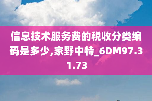 信息技术服务费的税收分类编码是多少,家野中特_6DM97.31.73