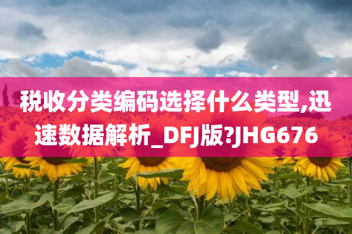 税收分类编码选择什么类型,迅速数据解析_DFJ版?JHG676