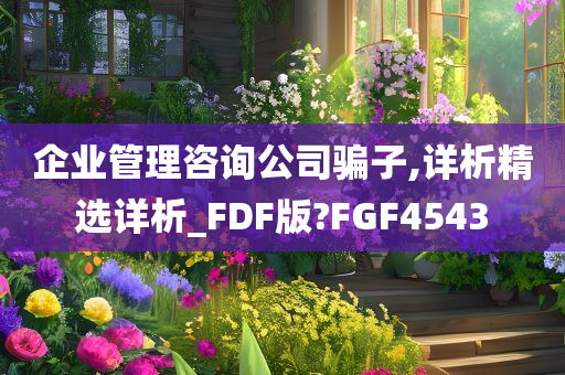 企业管理咨询公司骗子,详析精选详析_FDF版?FGF4543