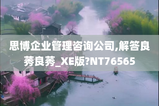 思博企业管理咨询公司,解答良莠良莠_XE版?NT76565