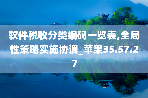 软件税收分类编码一览表,全局性策略实施协调_苹果35.57.27